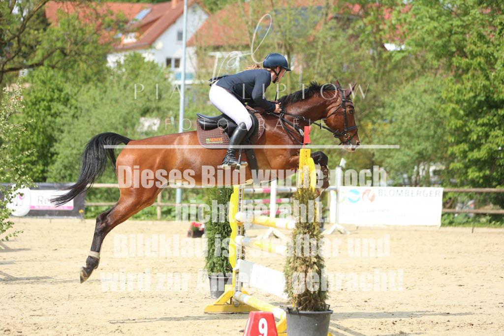 IMGM5776 | pl-fotografie