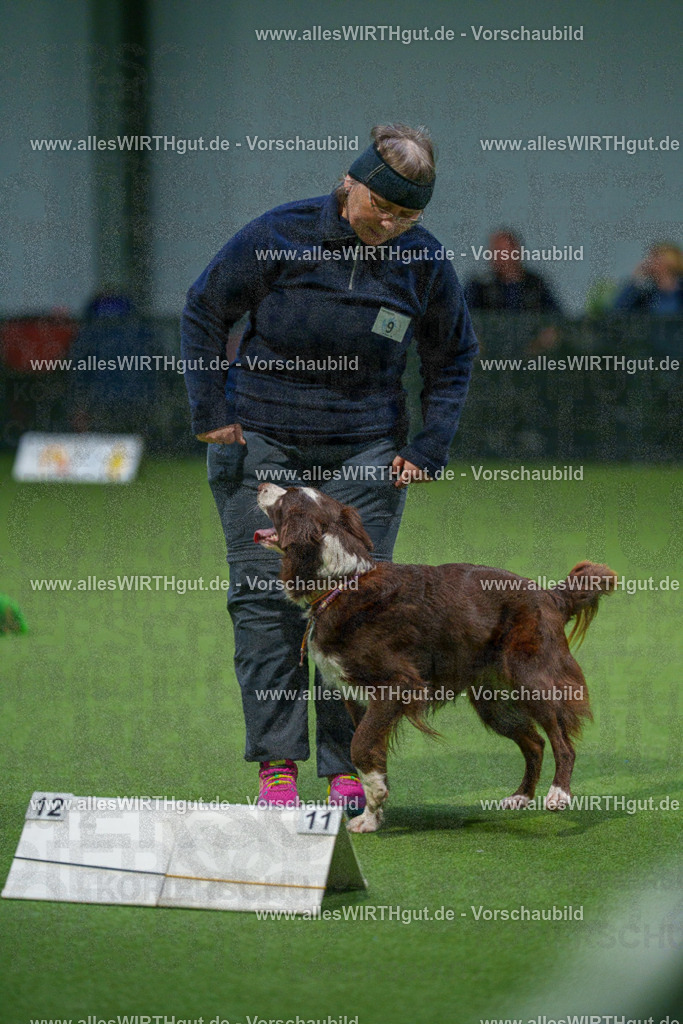 7R500081 | Professionelle Tierfotografie in Mönchengladbach von Daniel Wirth (allesWIRTHgut). Liebevolle & natürliche Bilder von Hunden & Katzen für unvergessliche Erinnerungen.