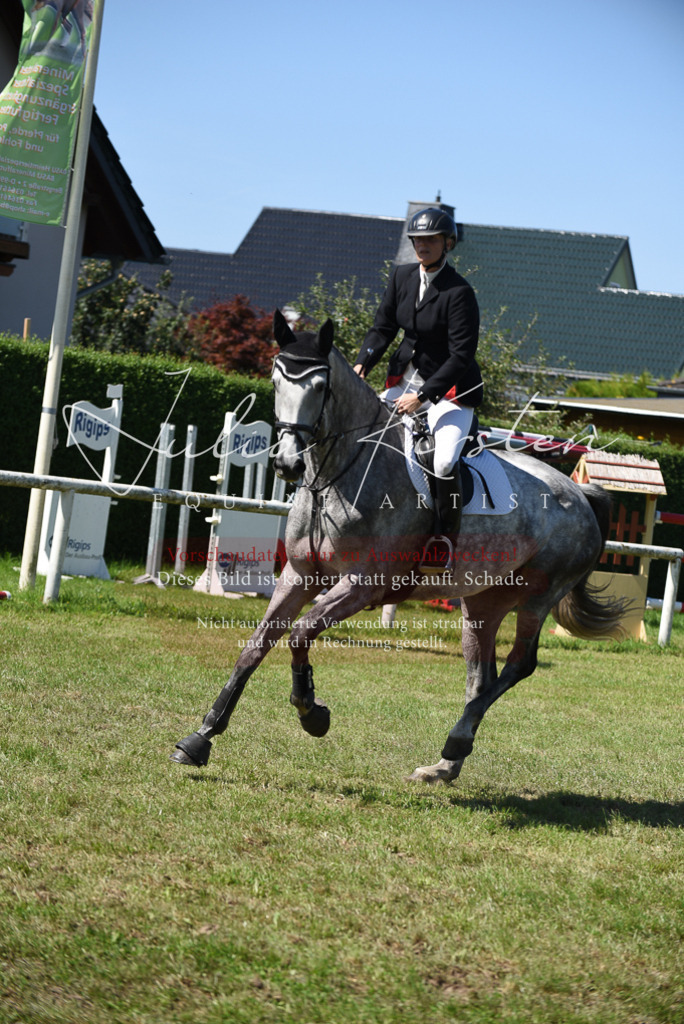 DSC_9521 | Pferde- und Turnierfotografie in Westsachsen. Pferdeportraits, Auftragszeichnungen und intuitive Kunst.