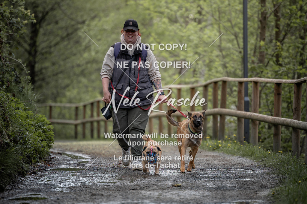 nelerasche_TheGame2026_SaCampEinlauf_212 | nelerasche