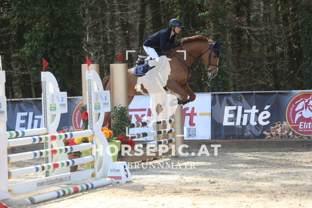 DL2Q8638 | Willkommen bei Brunnmayr - Design & Fotografie – Ihrem Spezialisten für Reitturniere und Pferdeveranstaltungen in Oberösterreich, Salzburg und Bayern! Seit über 17 Jahren sind wir leidenschaftlich dabei.