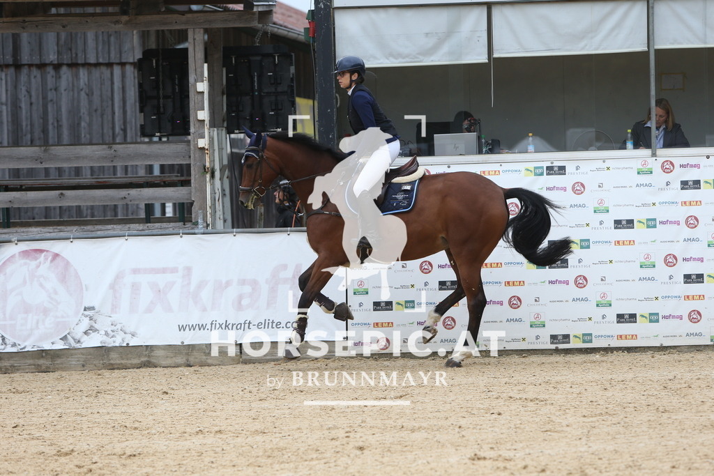 DL2Q0831 | Willkommen bei Brunnmayr - Design & Fotografie – Ihrem Spezialisten für Reitturniere und Pferdeveranstaltungen in Oberösterreich, Salzburg und Bayern! Seit über 17 Jahren sind wir leidenschaftlich dabei.