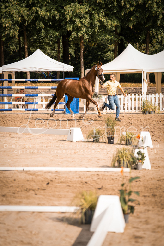 FrER00129 | Leoni Ertmer Photography - Realisiert mit Pictrs.com