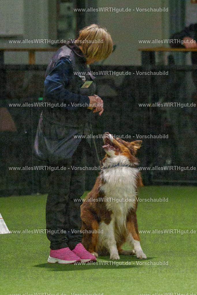 7R508740 | Professionelle Tierfotografie in Mönchengladbach von Daniel Wirth (allesWIRTHgut). Liebevolle & natürliche Bilder von Hunden & Katzen für unvergessliche Erinnerungen.