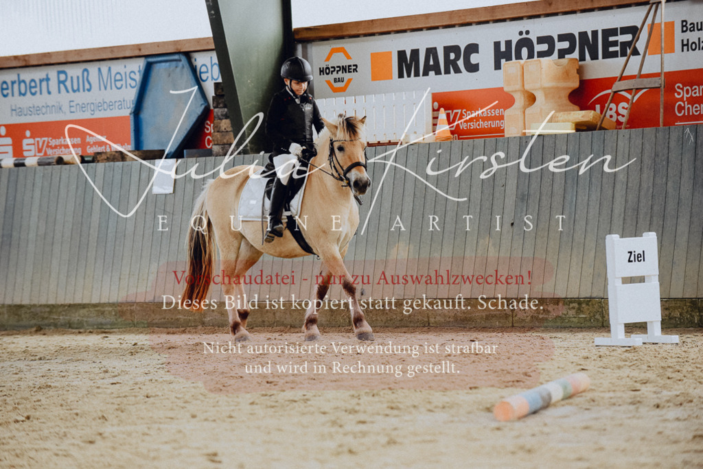 DSC_6822 | Pferde- und Turnierfotografie in Westsachsen. Pferdeportraits, Auftragszeichnungen und intuitive Kunst.