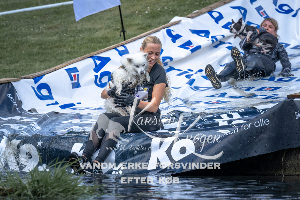 1111_ZZ91378 | kk-dogfotos