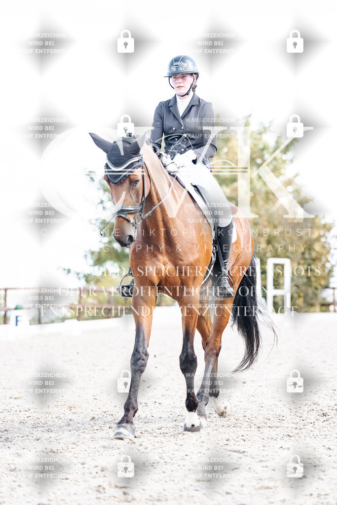 CK902420 | Turnierfotografie Pferdefotografie Trier Rheinland-Pfalz Pferdesport Reitsport Tierfotografie Sportfotografie Pferdevideo Pferdevideografie Equestrianvideography equestrianphotography  - Realisiert mit Pictrs.com