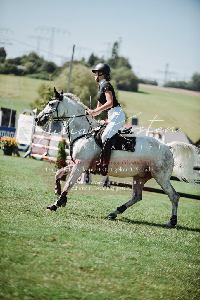 DSC_3316 | Pferde- und Turnierfotografie in Westsachsen. Pferdeportraits, Auftragszeichnungen und intuitive Kunst.