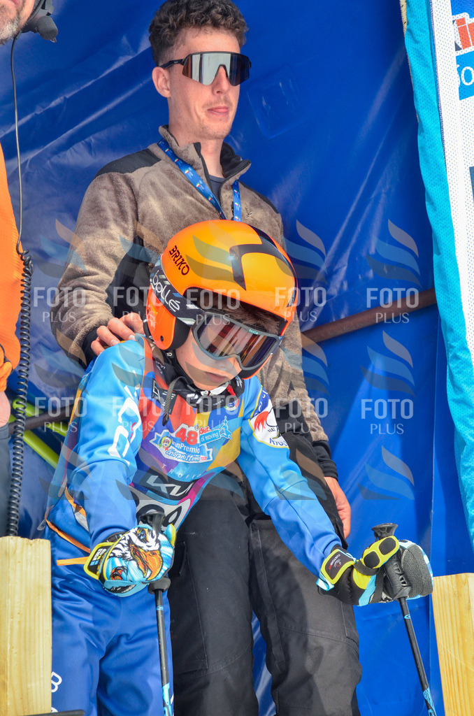 _ELE8368 | holidayphoto