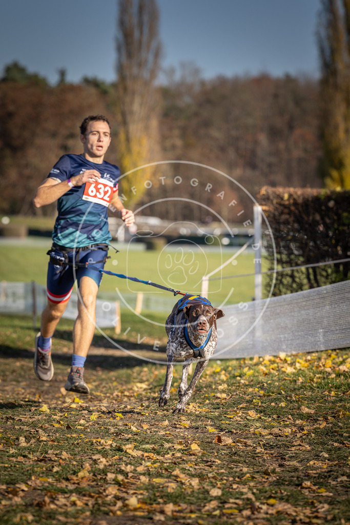 CaniXpix_DV3A0147 | Hundefotografie, Tierfotograf, Pfotenfotografie, Fotoshooting Hund, Hunde Portrait, Hundesport, Hundeportraits, Heideshooting, Hunde, Sportfotograf, Hundefotograf, Turnierhundsport, THS,  - Realisiert mit Pictrs.com