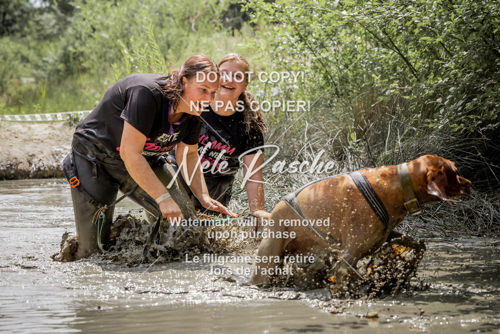 nelerasche_so1300-1330_307 | nelerasche