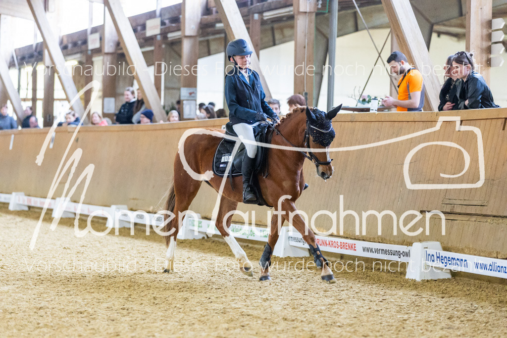 Sth-LPO25-Kombi-118 | MomenTaufnahmen Pferdesportfotos