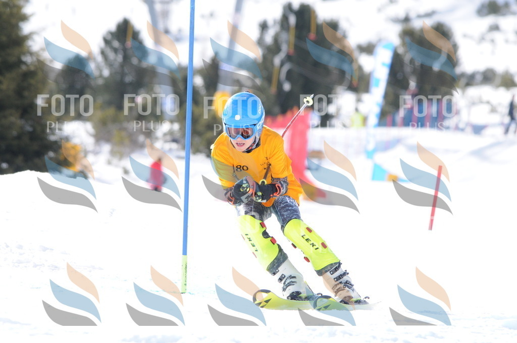 C7431 | holidayphoto