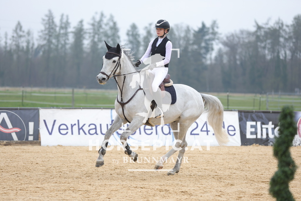 0P6A7444 | Willkommen bei Brunnmayr - Design & Fotografie – Ihrem Spezialisten für Reitturniere und Pferdeveranstaltungen in Oberösterreich, Salzburg und Bayern! Seit über 17 Jahren sind wir leidenschaftlich dabei.