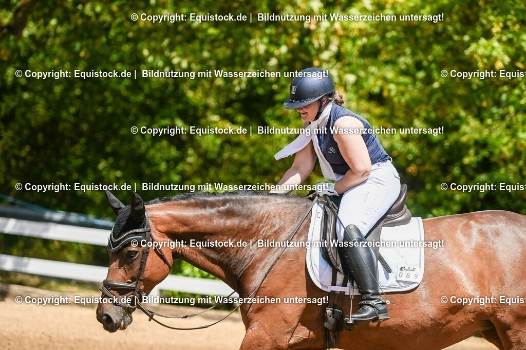 20230715_02_Dressurreiterprüfung Kl.L_0009 | equistock
