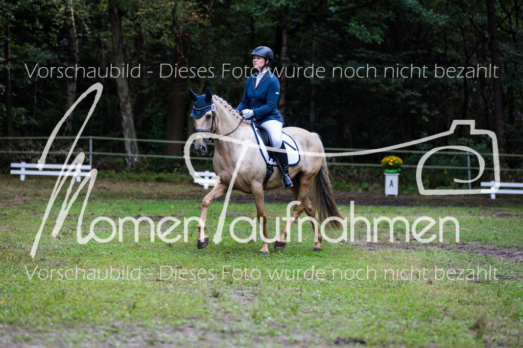 HB-A-Dressur-067 | MomenTaufnahmen Pferdesportfotos