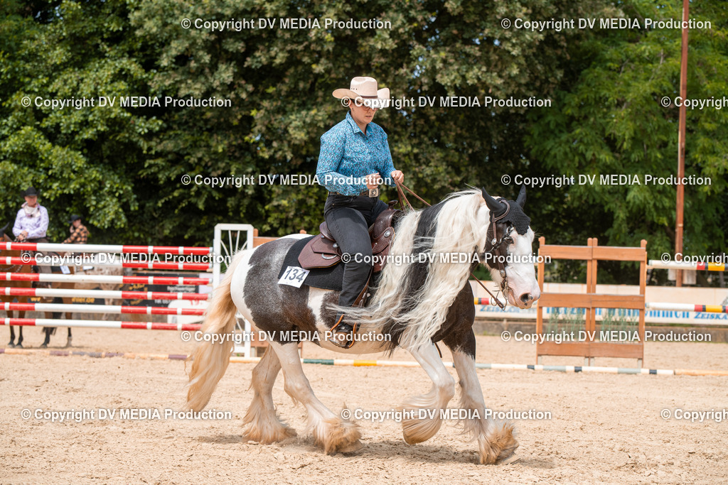 EWP_6425 | dv-media-shop - Realisiert mit Pictrs.com