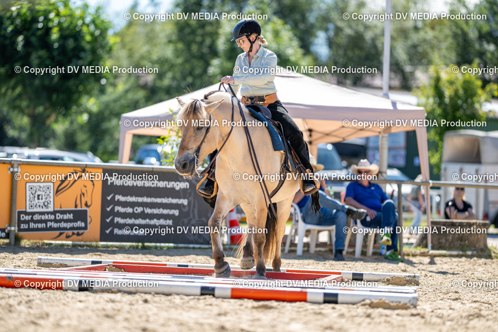 LM Heiligenwald Tag 1-697 | dv-media-shop - Realisiert mit Pictrs.com