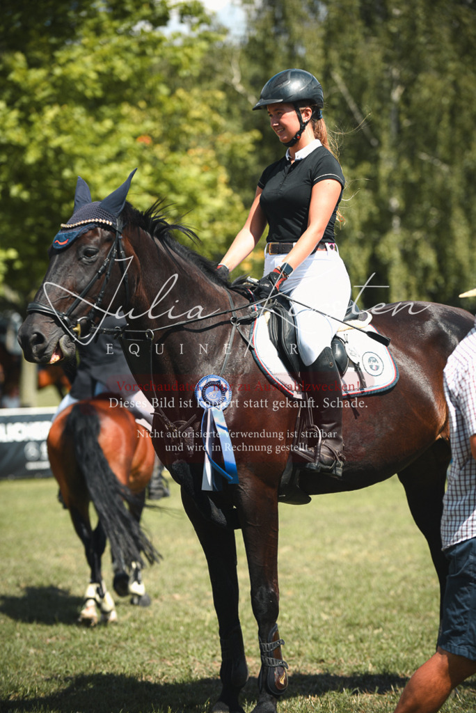 DSC_6818 | Pferde- und Turnierfotografie in Westsachsen. Pferdeportraits, Auftragszeichnungen und intuitive Kunst.