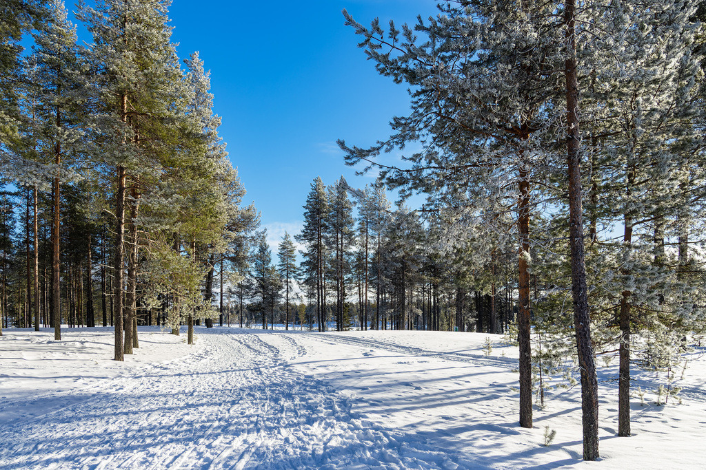 Landschaft mit Schnee im Winter in Kuusamo, Finnland | Landschaft mit Schnee im Winter in Kuusamo, Finnland.