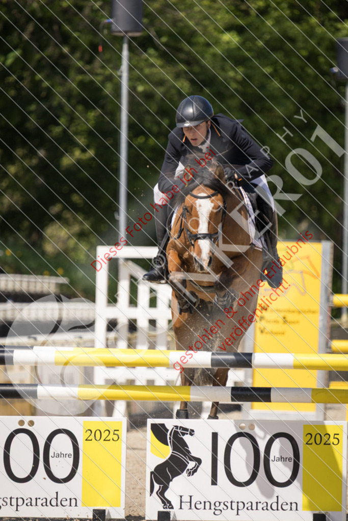 IMG_5117 | Sport-, Event- und Tierfotos in Profiqualität. Einfach auswählen, bestellen und herunterladen. Dein Moment – perfekt festgehalten.