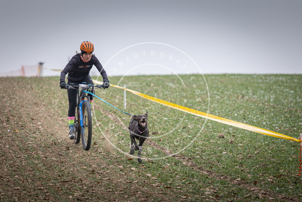Pfotenfotografie_DV3A1028 | Hundefotografie, Tierfotograf, Pfotenfotografie, Fotoshooting Hund, Hunde Portrait, Hundesport, Hundeportraits, Heideshooting, Hunde, Sportfotograf, Hundefotograf, Turnierhundsport, THS,  - Realisiert mit Pictrs.com