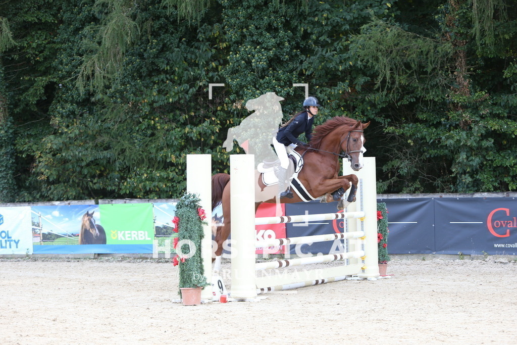 DL2Q2417 | Willkommen bei Brunnmayr - Design & Fotografie – Ihrem Spezialisten für Reitturniere und Pferdeveranstaltungen in Oberösterreich, Salzburg und Bayern! Seit über 17 Jahren sind wir leidenschaftlich dabei.