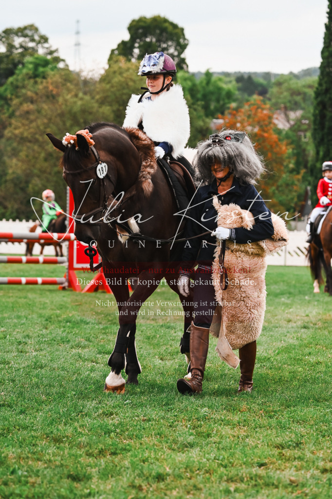 DSC_7508 | Pferde- und Turnierfotografie in Westsachsen. Pferdeportraits, Auftragszeichnungen und intuitive Kunst.