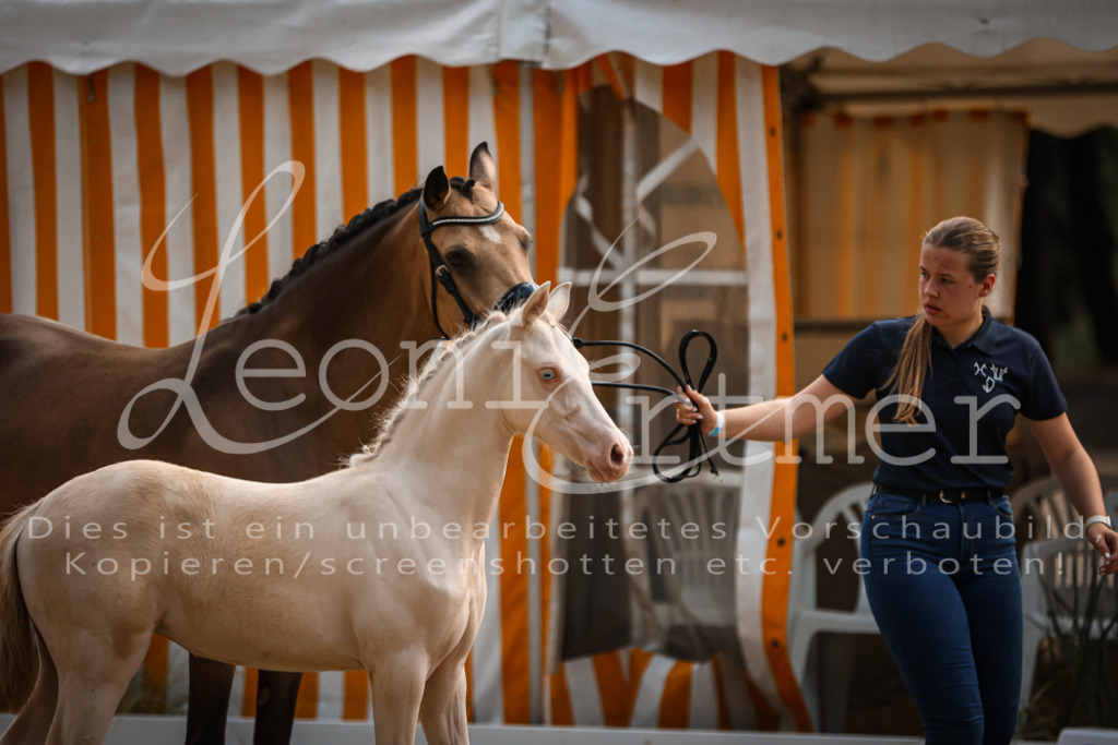 10.DoRP00036 | Leoni Ertmer Photography - Realisiert mit Pictrs.com