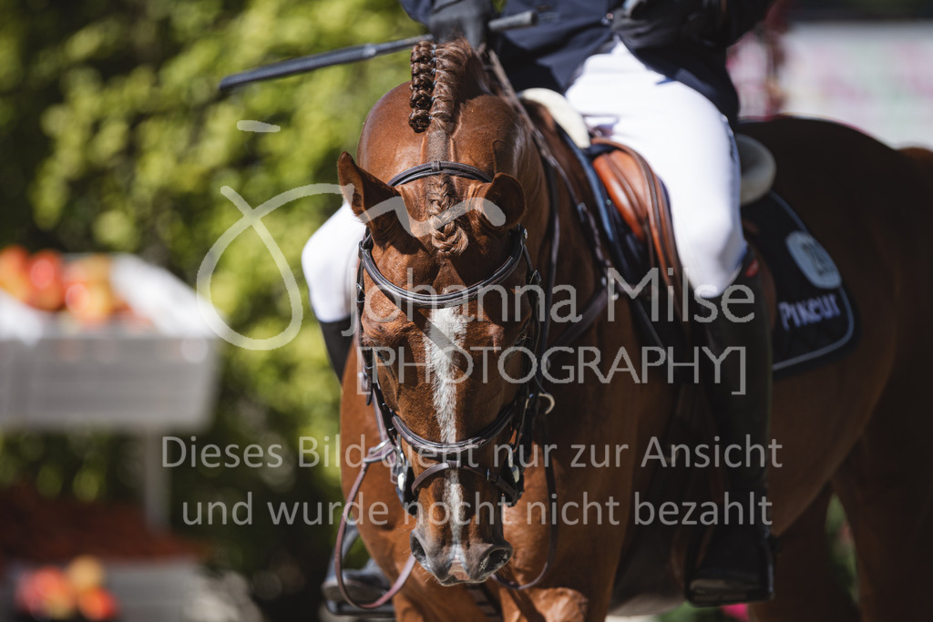 220603_CSI-Wohlde_SmallTour-137 | 08 CSI2* - Internationale Zweiphasenspringprüfung (1,30 m) 
Kleine / Small Tour
03.06.2022