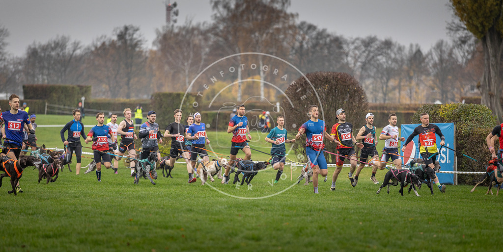 CaniXpix_DV3A9445 | Hundefotografie, Tierfotograf, Pfotenfotografie, Fotoshooting Hund, Hunde Portrait, Hundesport, Hundeportraits, Heideshooting, Hunde, Sportfotograf, Hundefotograf, Turnierhundsport, THS,  - Realisiert mit Pictrs.com