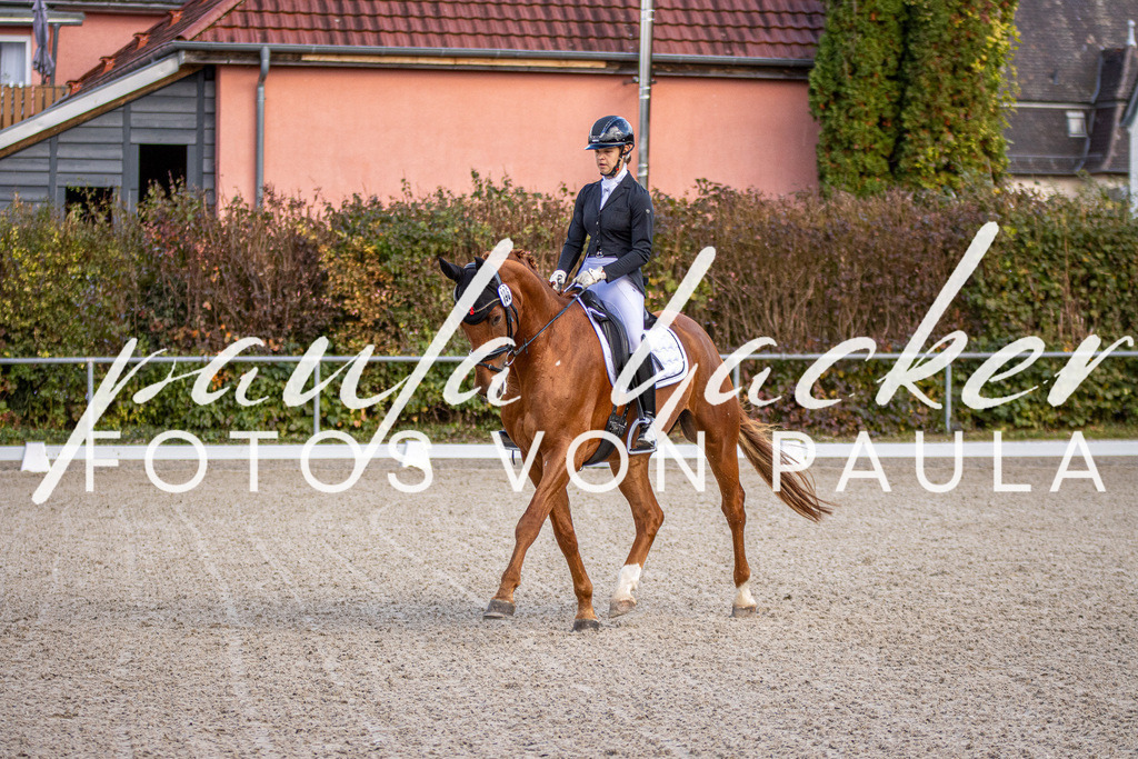 IMG_4160 | Erleben Sie dynamische Sport- und emotionale Tierfotografie in Süddeutschland mit Fotos von Paula. Spezialisiert auf Pferde- und Hundefotografie sowie Sportevents. Kontaktieren Sie mich für einzigartige und ausdrucksstarke Bilder Ihrer besonderen Momente. - Realisiert mit Pictrs.com
