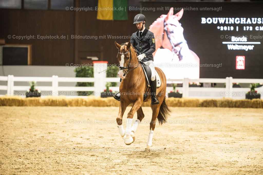 20240302_Hengstvorstellung_Marbach_TOMsPiC_0548-2 | equistock