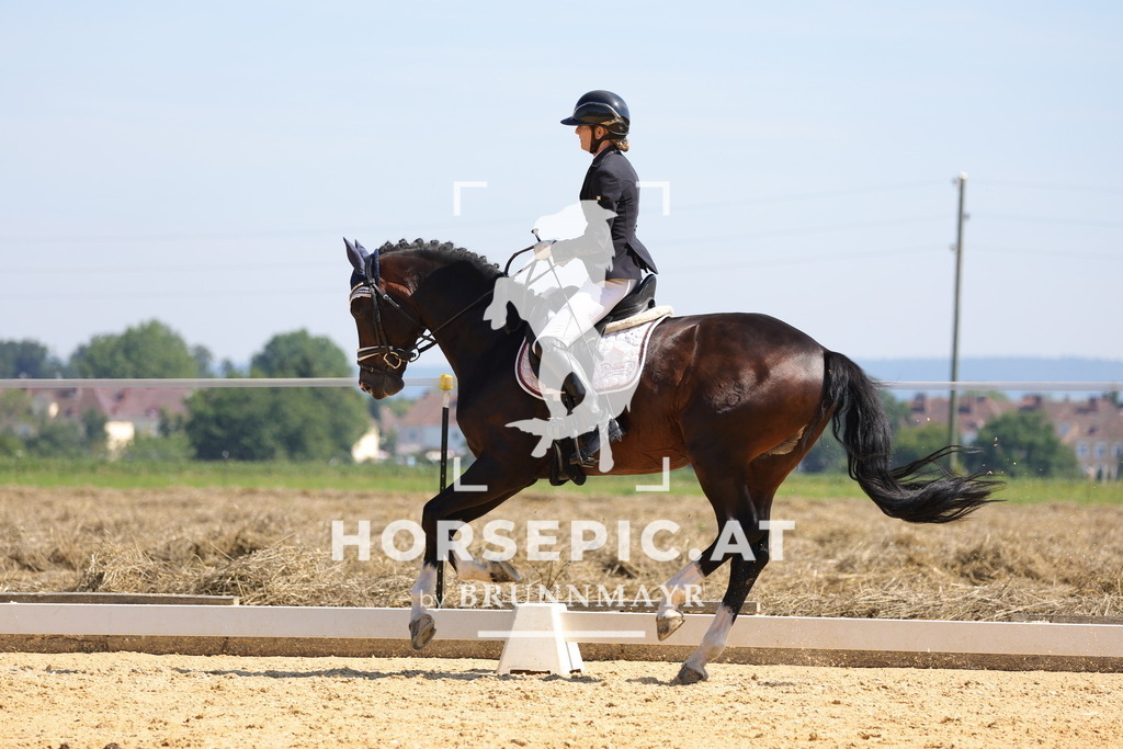 0P6A9647 | Willkommen bei Brunnmayr - Design & Fotografie – Ihrem Spezialisten für Reitturniere und Pferdeveranstaltungen in Oberösterreich, Salzburg und Bayern! Seit über 17 Jahren sind wir leidenschaftlich dabei.