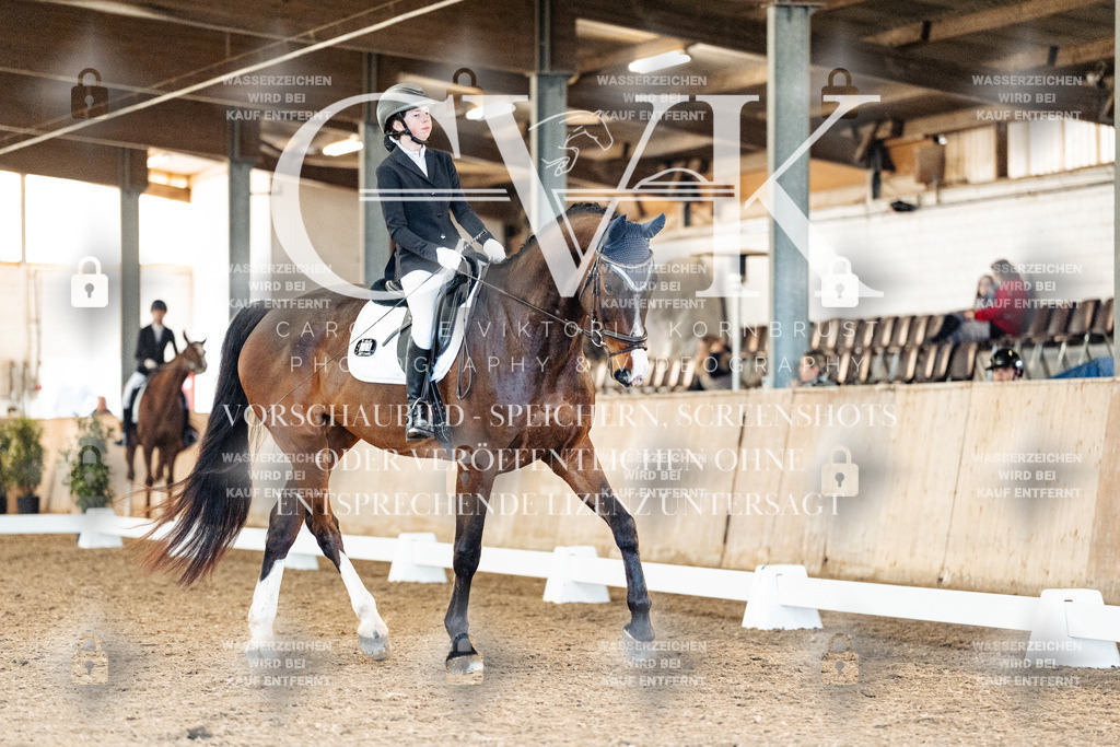 CK908459 | Turnierfotografie Pferdefotografie Trier Rheinland-Pfalz Pferdesport Reitsport Tierfotografie Sportfotografie Pferdevideo Pferdevideografie Equestrianvideography equestrianphotography  - Realisiert mit Pictrs.com