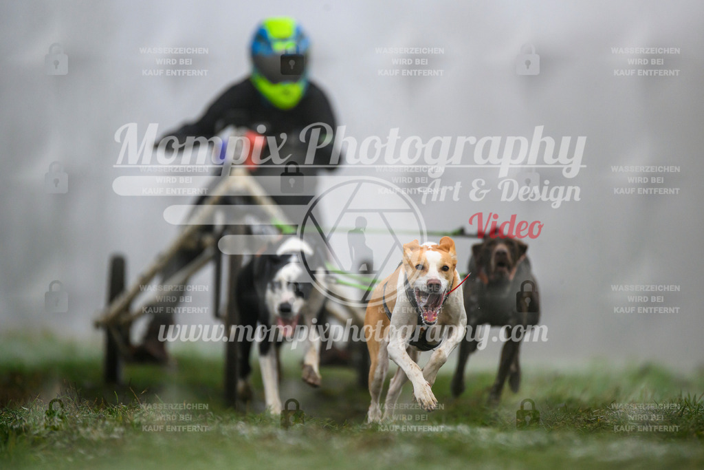 MompixPhotography_CDF2023_FFST_Di_Kart-24 | PayLife