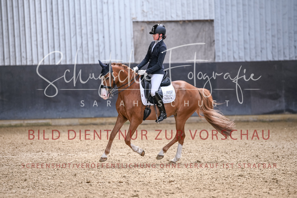 Schugtsche-Aluta25-57.Dressurprf.M1Kand-264 | Schugtsche Fotografie - Realisiert mit Pictrs.com