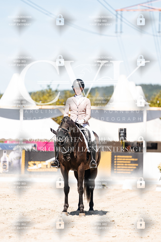 CK909445 | Turnierfotografie Pferdefotografie Trier Rheinland-Pfalz Pferdesport Reitsport Tierfotografie Sportfotografie Pferdevideo Pferdevideografie Equestrianvideography equestrianphotography  - Realisiert mit Pictrs.com
