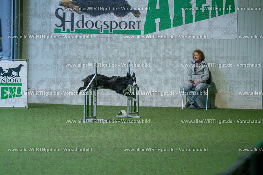 @allesWIRTHgut_Tierfotografie - www.allesWIRTHgut.de - 2604260810-7R506777 | Professionelle Tierfotografie in Mönchengladbach von Daniel Wirth (allesWIRTHgut). Liebevolle & natürliche Bilder von Hunden & Katzen für unvergessliche Erinnerungen.