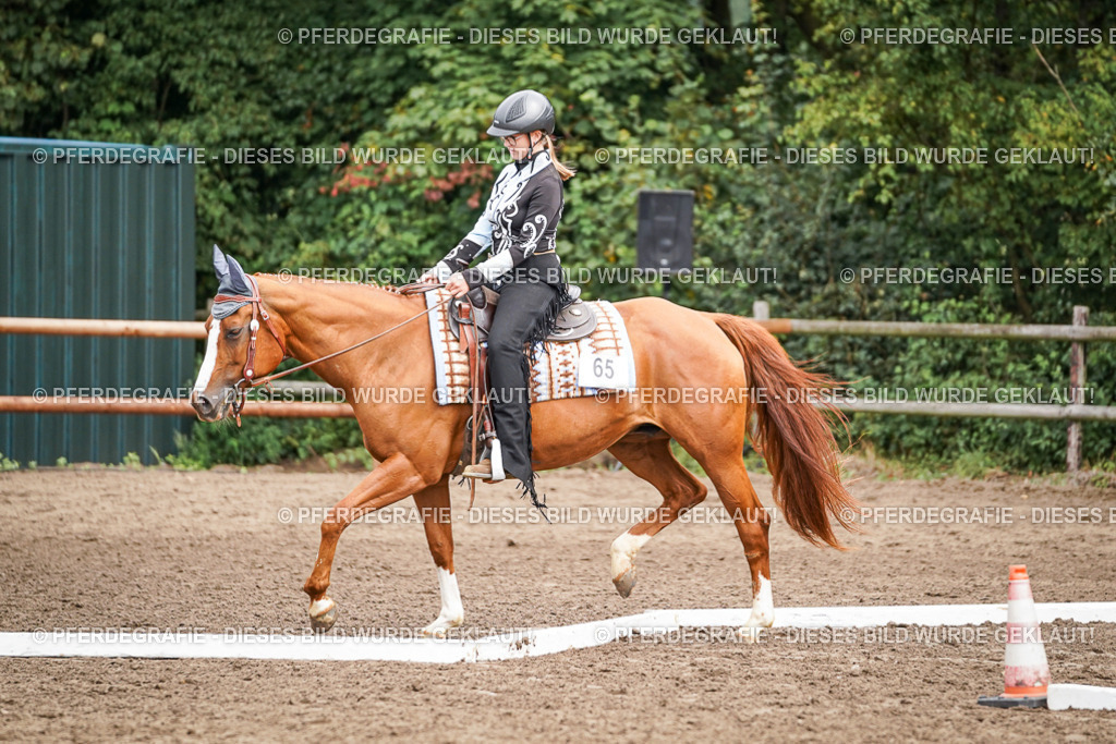 DSC04188 | Pferdegrafie