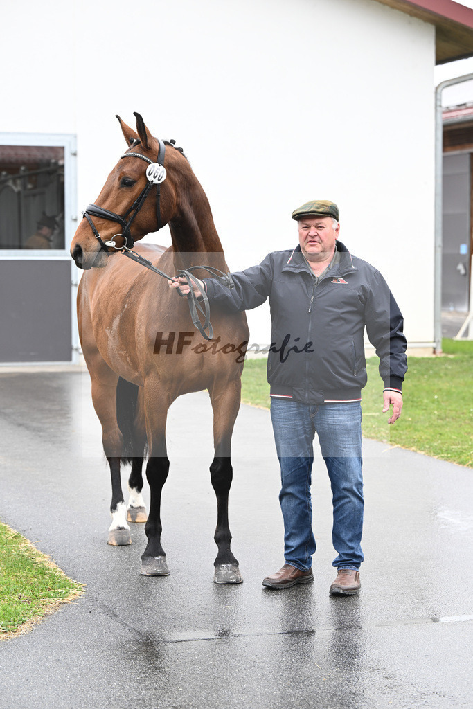 Kat-Nr. 60 Nikita F v. Uricas van de Kattevennen_Fischer_7240237 | hf-fotografie - Realisiert mit Pictrs.com
