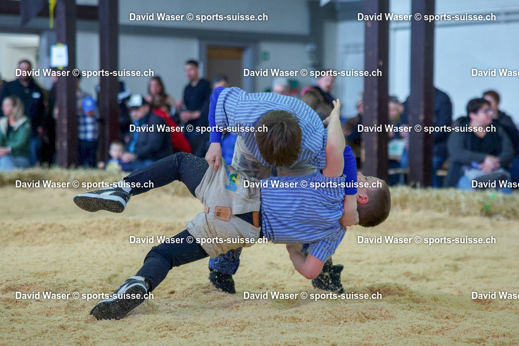 21.03.26 Aigle Manini Flynn (2017) - Sturny Olivier (2017) F_te de Lutte Suisse en Halle Aiglonne www.sports-suisse.ch-1 | 21.03.26 Aigle Manini Flynn (2017) - Sturny Olivier (2017) Fête de Lutte Suisse en Halle Aiglonne www.sports-suisse.ch