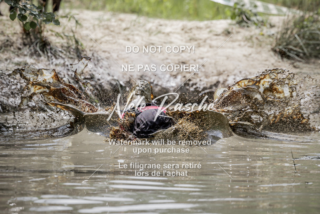 nelerasche_so1145-1230_229 | nelerasche