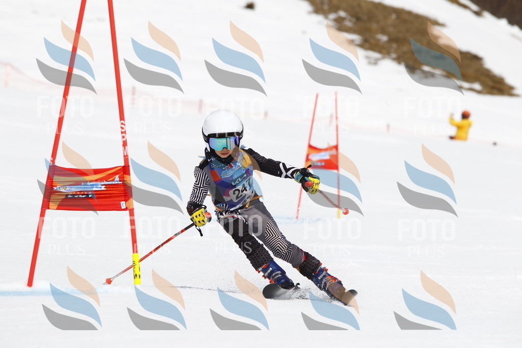 _U3G6246 | holidayphoto