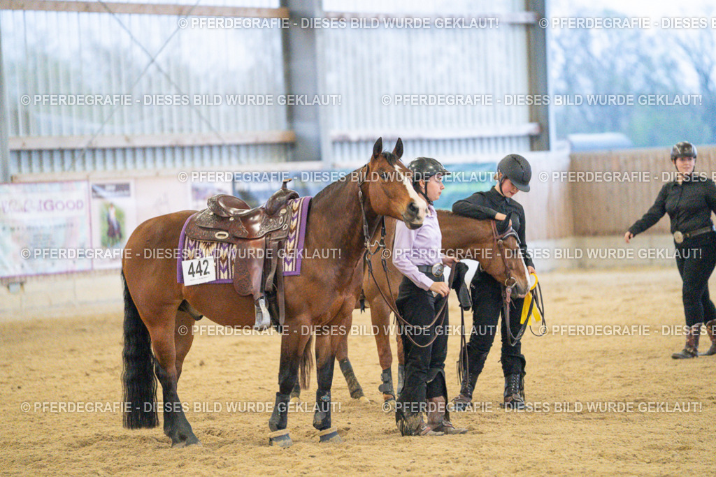 DSC09585 | Pferdegrafie