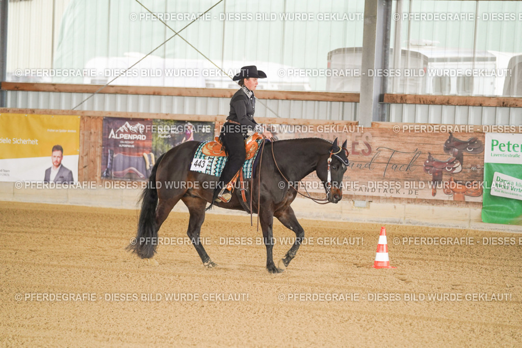 DSC09523 | Pferdegrafie