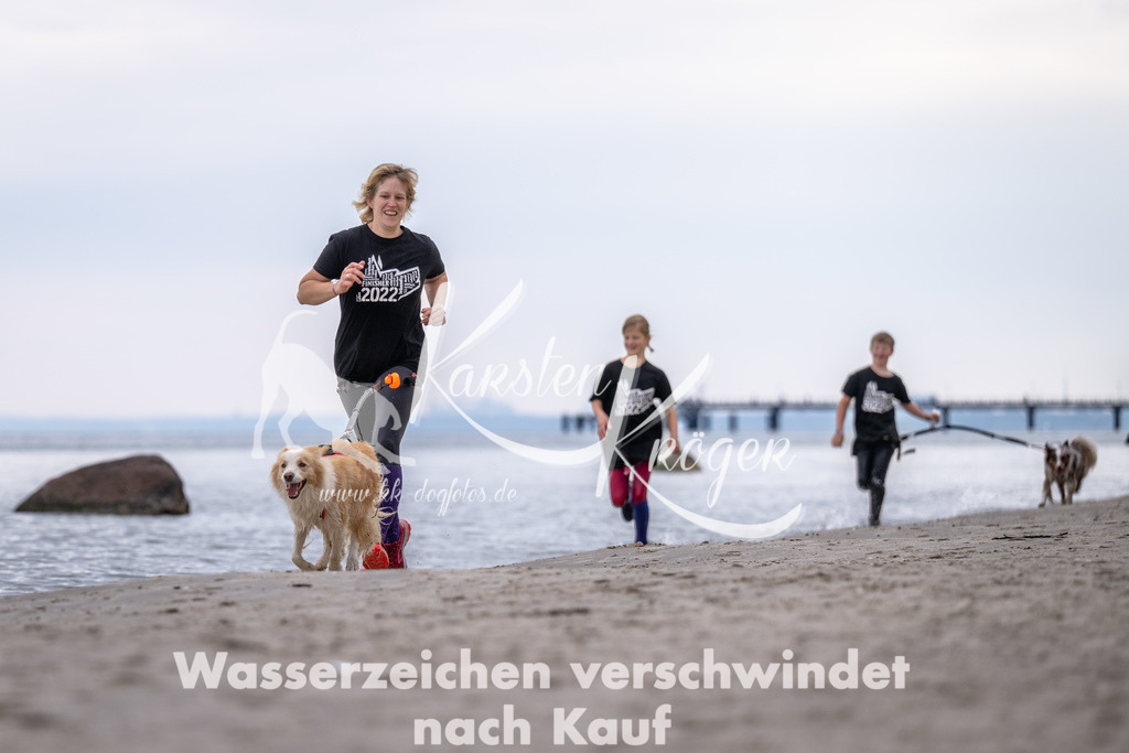 1120_ZZ91208 | kk-dogfotos