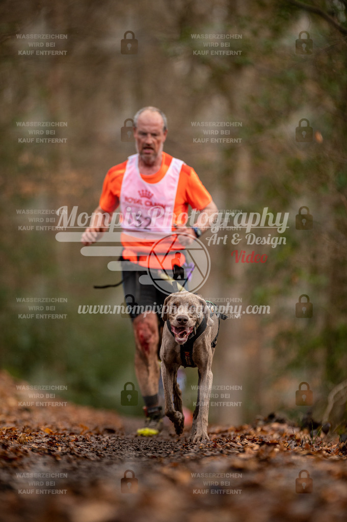 SPA_2023_DIM_CCL-99 | PayLife