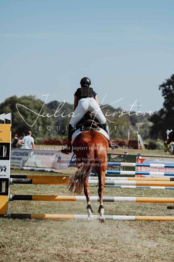 DSC_9700 | Pferde- und Turnierfotografie in Westsachsen. Pferdeportraits, Auftragszeichnungen und intuitive Kunst.