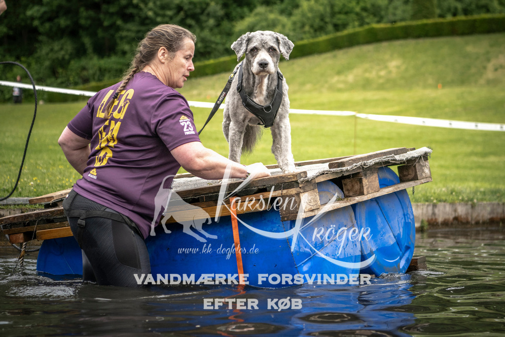 1012_ZZ94977 | kk-dogfotos